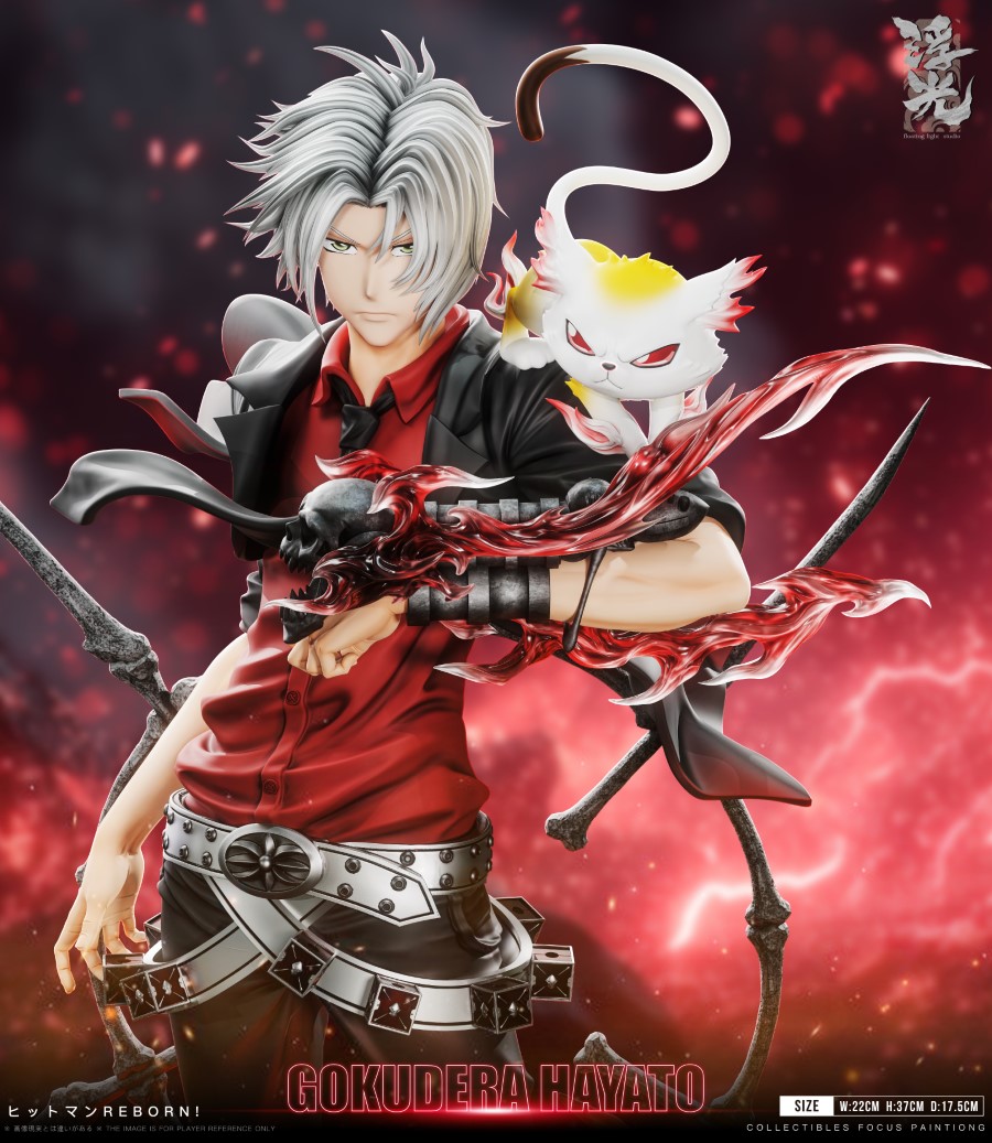 Hayato Gokudera - Katekyo Hitman Reborn