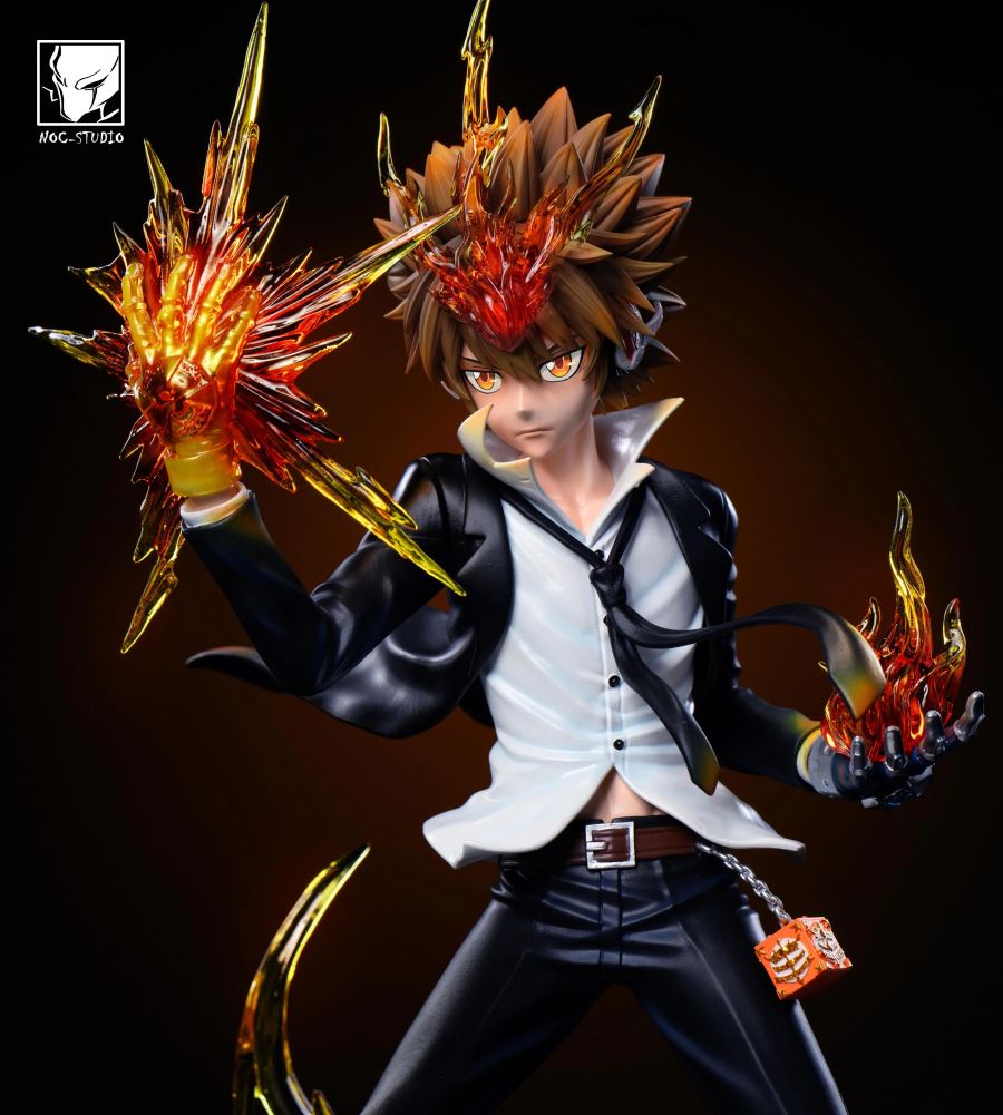 Sawada Tsunayoshi - Reborn 1/6