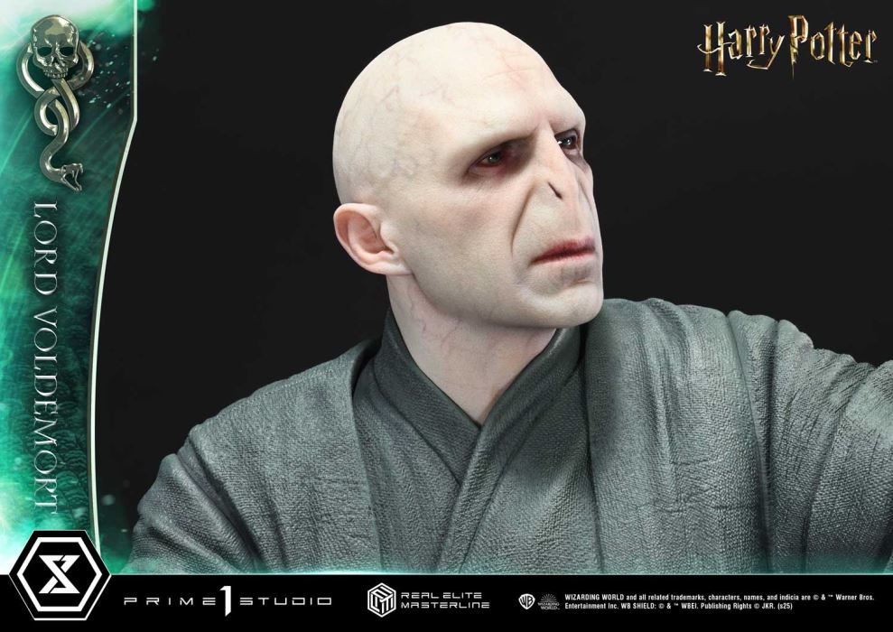 Lord Voldemort - Harry Potter