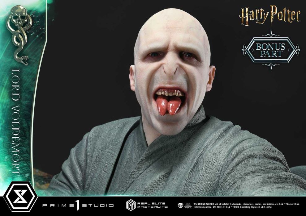 Lord Voldemort - Harry Potter