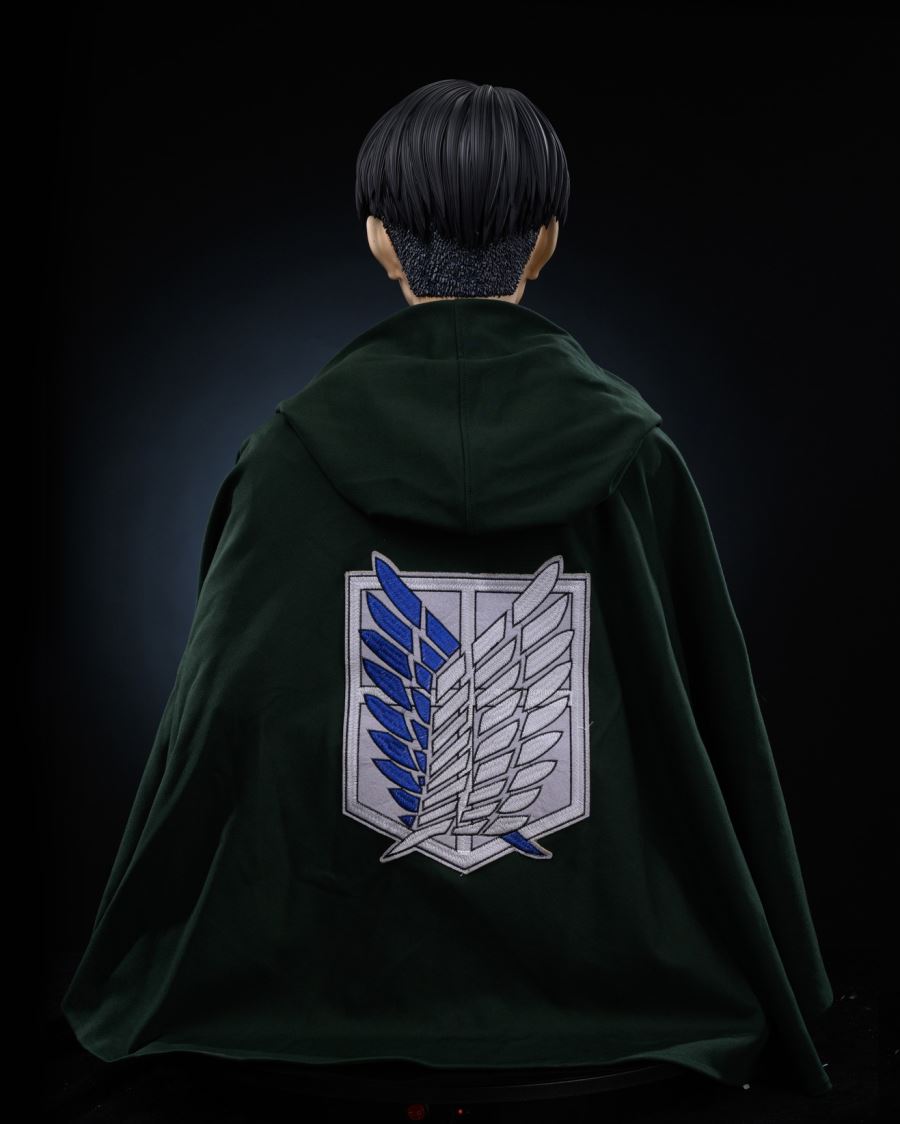 Levi Ackerman - Attack on Titan