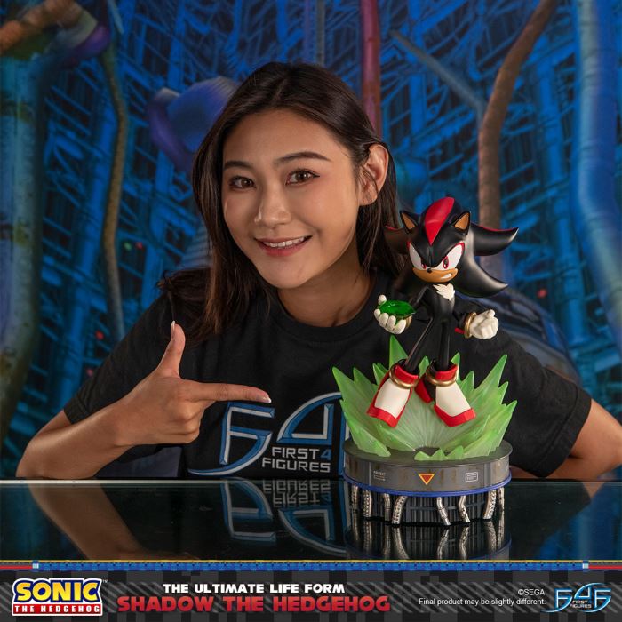 The Ultimate Life Form: Shadow the Hedgehog