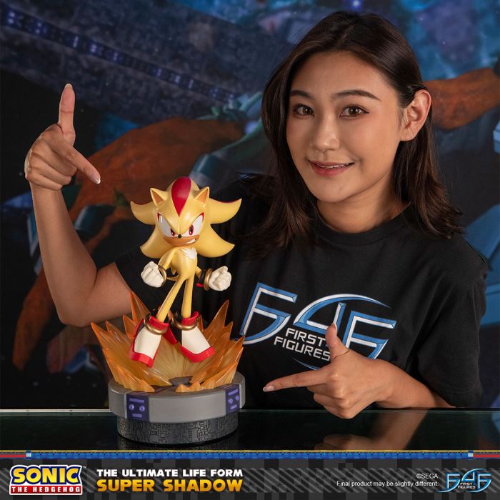 The Ultimate Life Form: Shadow the Hedgehog