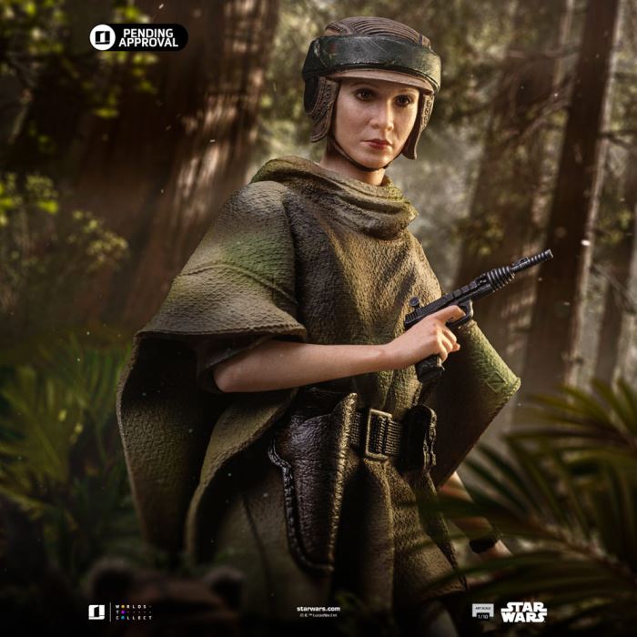 Leia and Wicket - Star Wars