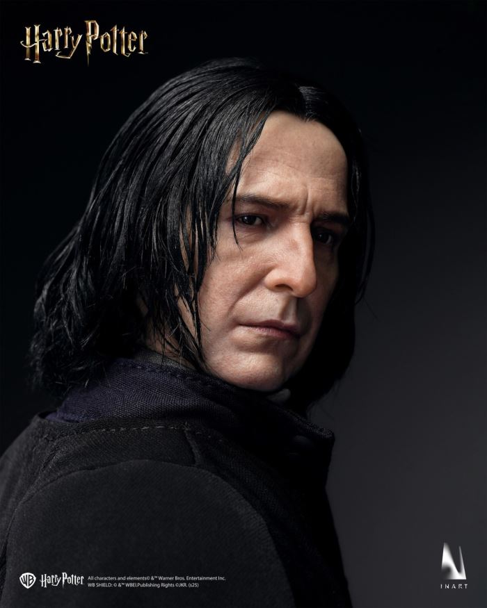 Severus Snape - HARRY POTTER AND THE HALF-BLOOD PRINCE 1/6 