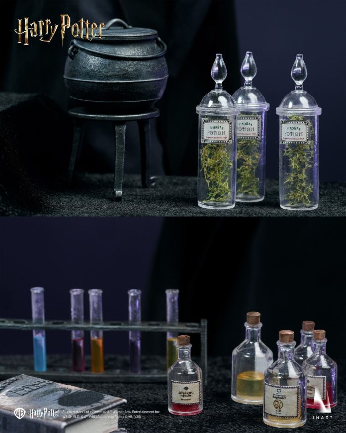 Severus Snape - HARRY POTTER AND THE HALF-BLOOD PRINCE 1/6 