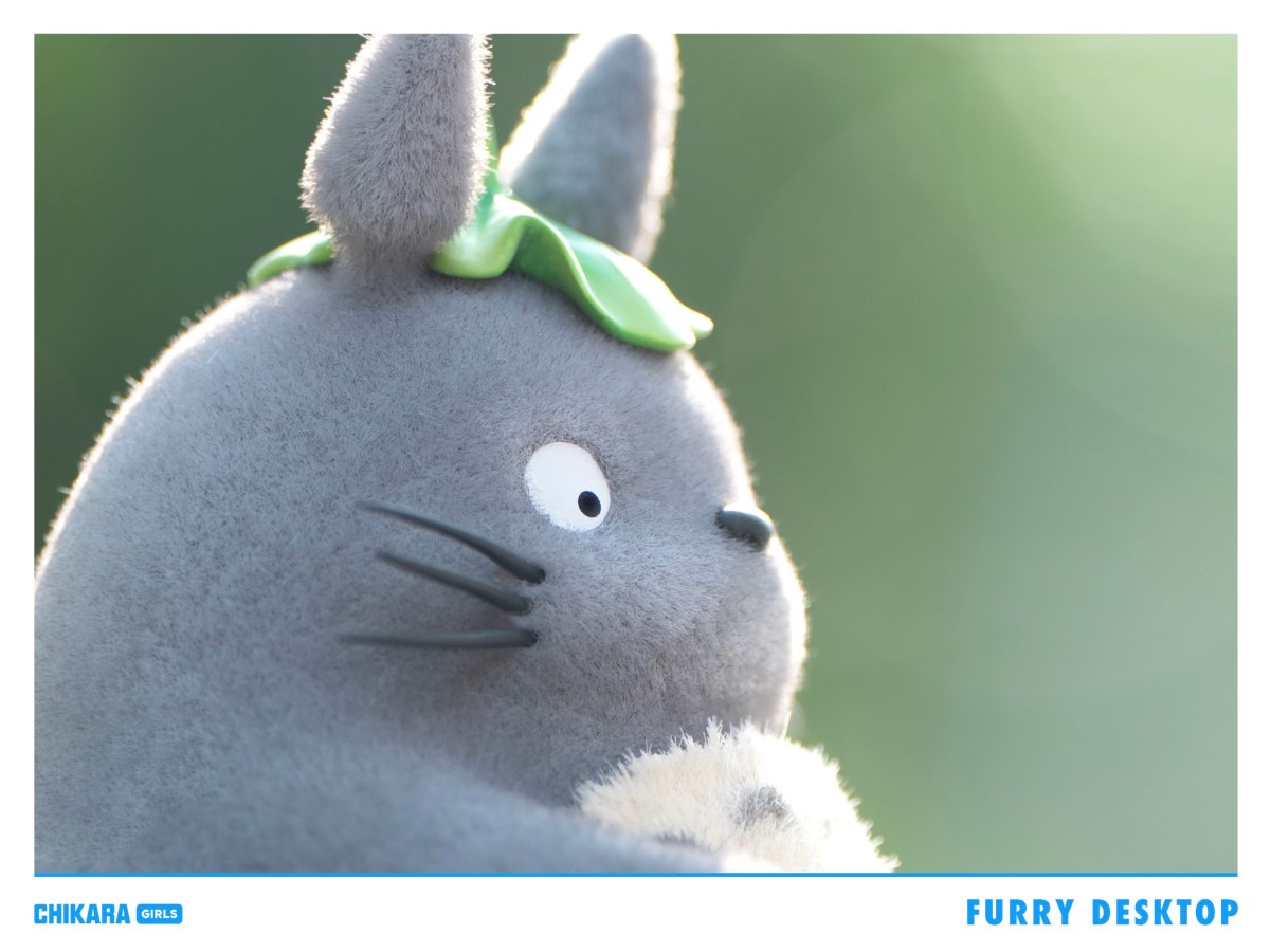 Fishing Totoro - My Neighbor Totoro