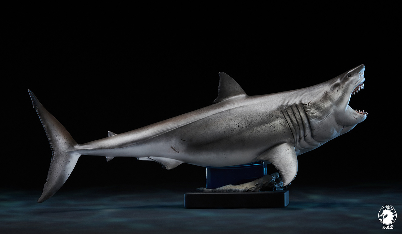 Great White Shark 1/18