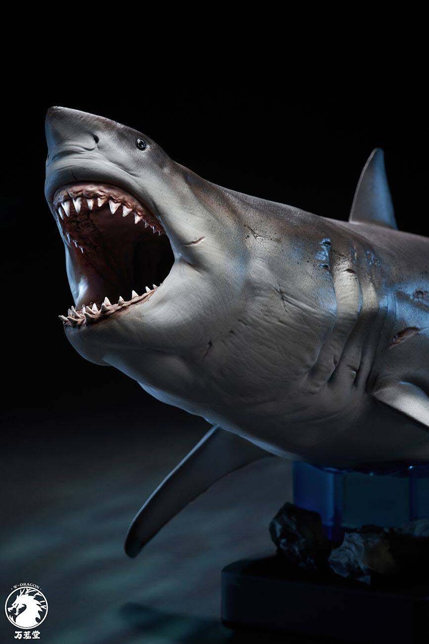 Great White Shark 1/18