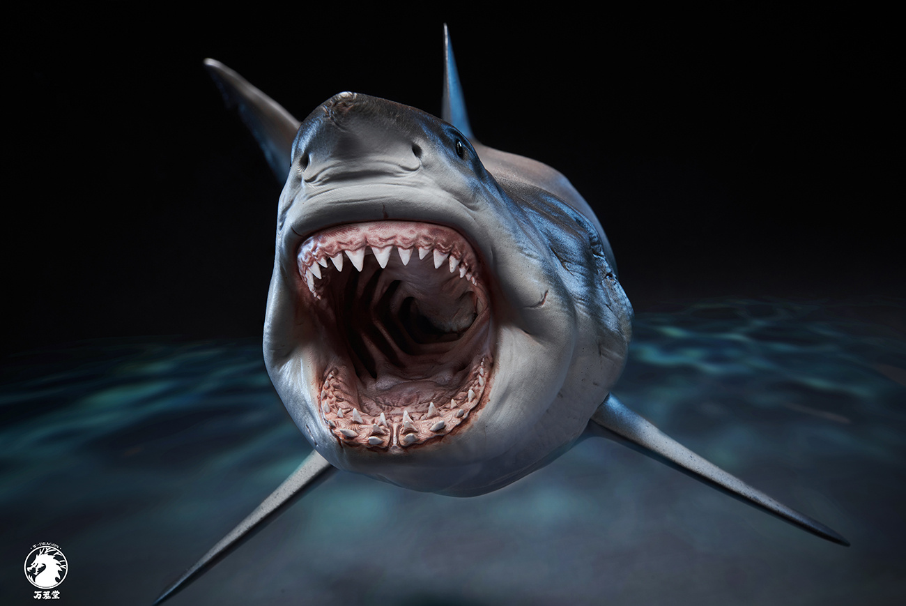 Great White Shark 1/18