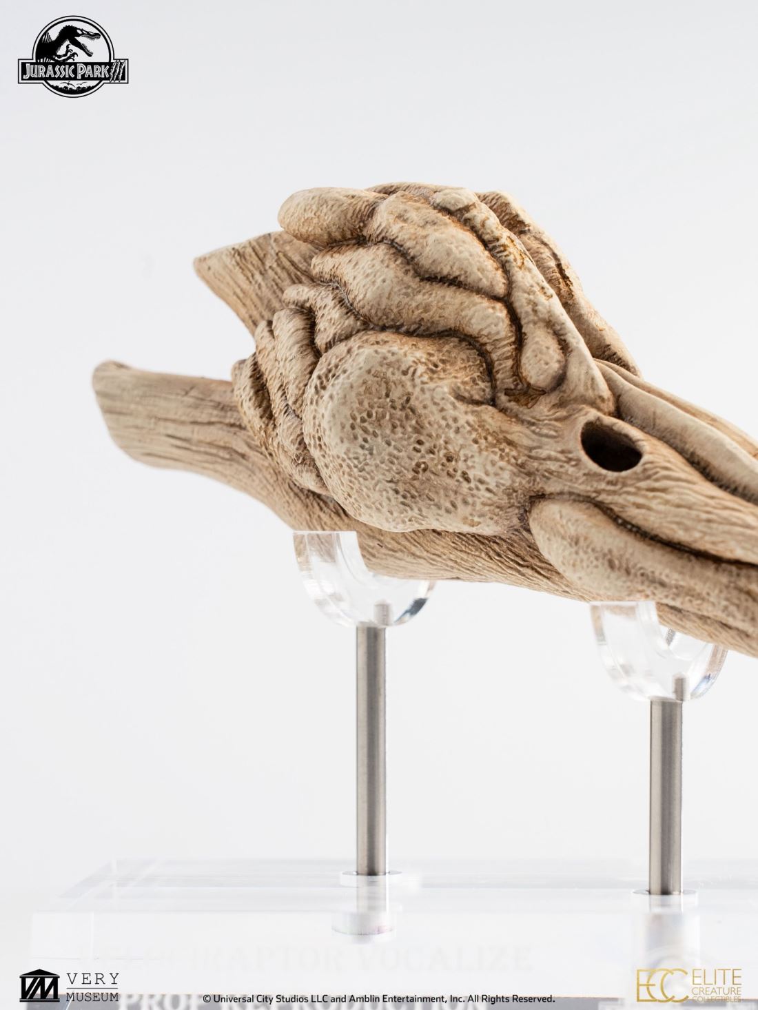 Velociraptor Resonating Chamber Prop - Jurassic Park