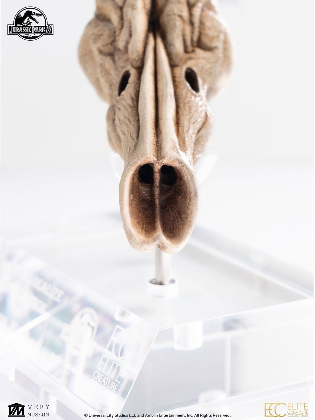 Velociraptor Resonating Chamber Prop - Jurassic Park