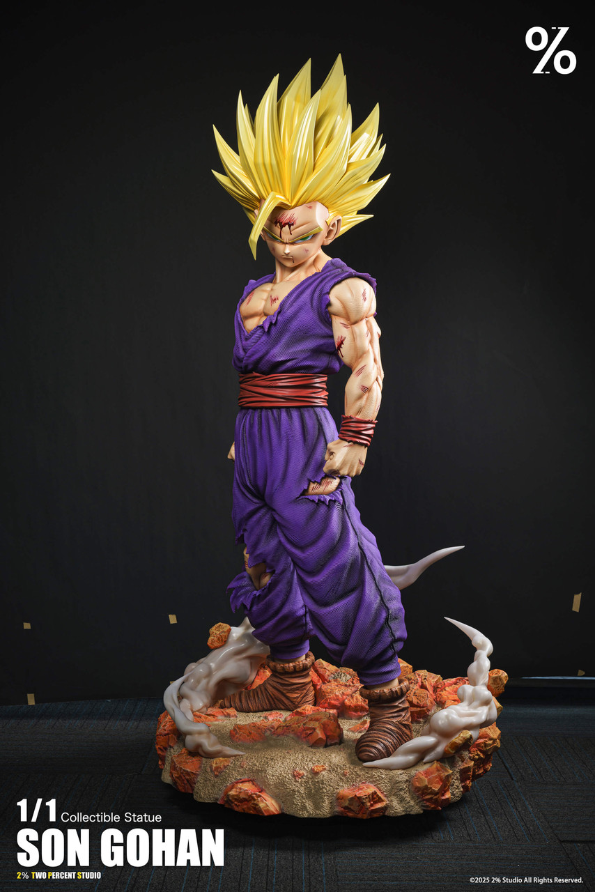 SS2 Son Gohan - Dragon Ball 1/1