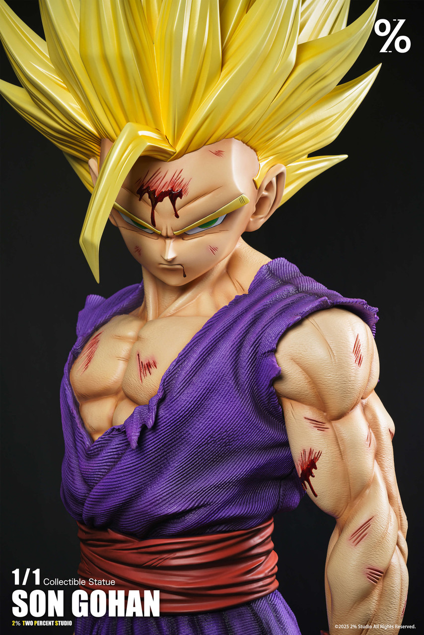 SS2 Son Gohan - Dragon Ball 1/1