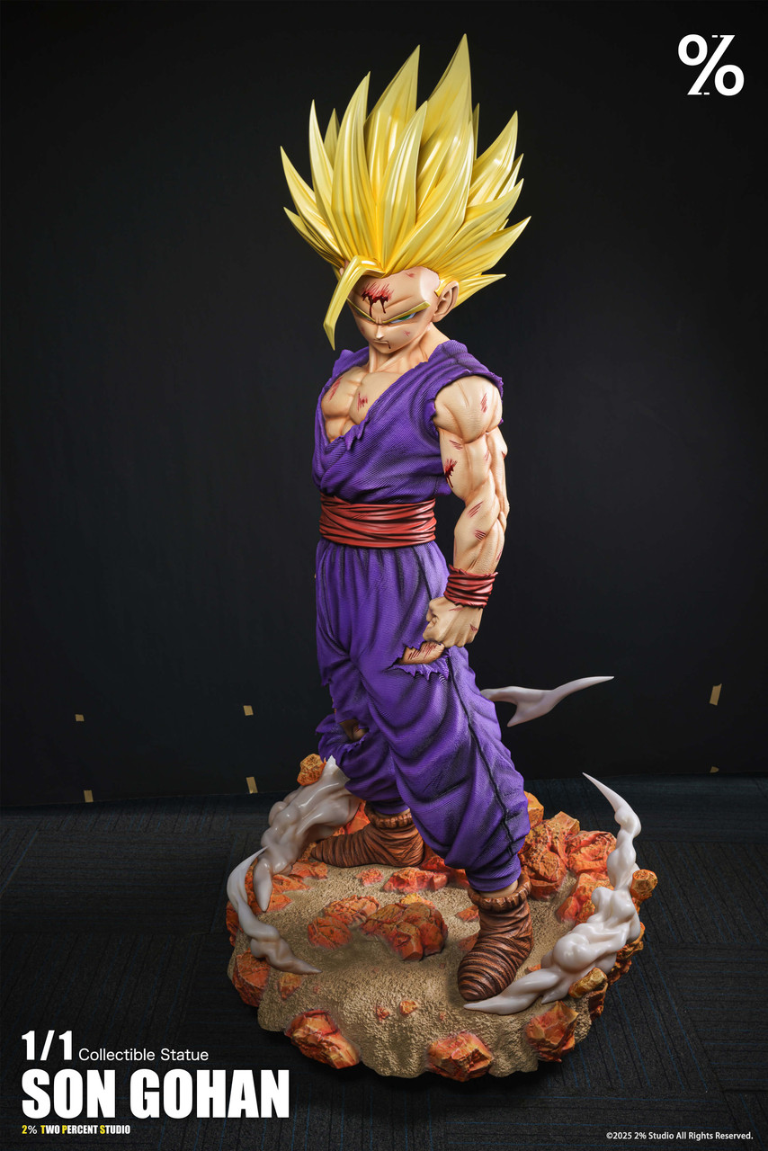 SS2 Son Gohan - Dragon Ball 1/1
