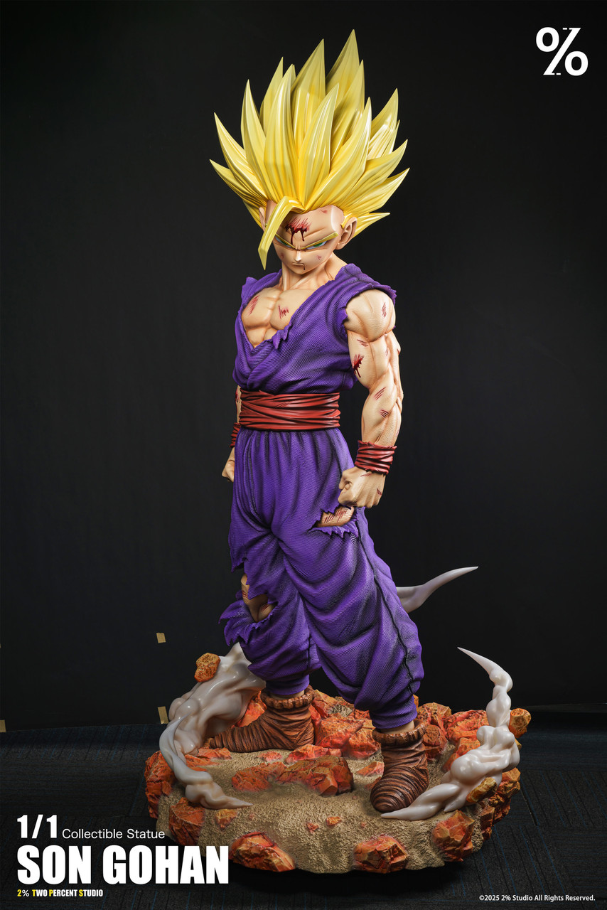 SS2 Son Gohan - Dragon Ball 1/1