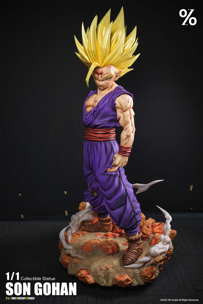 SS2 Son Gohan - Dragon Ball 1/1
