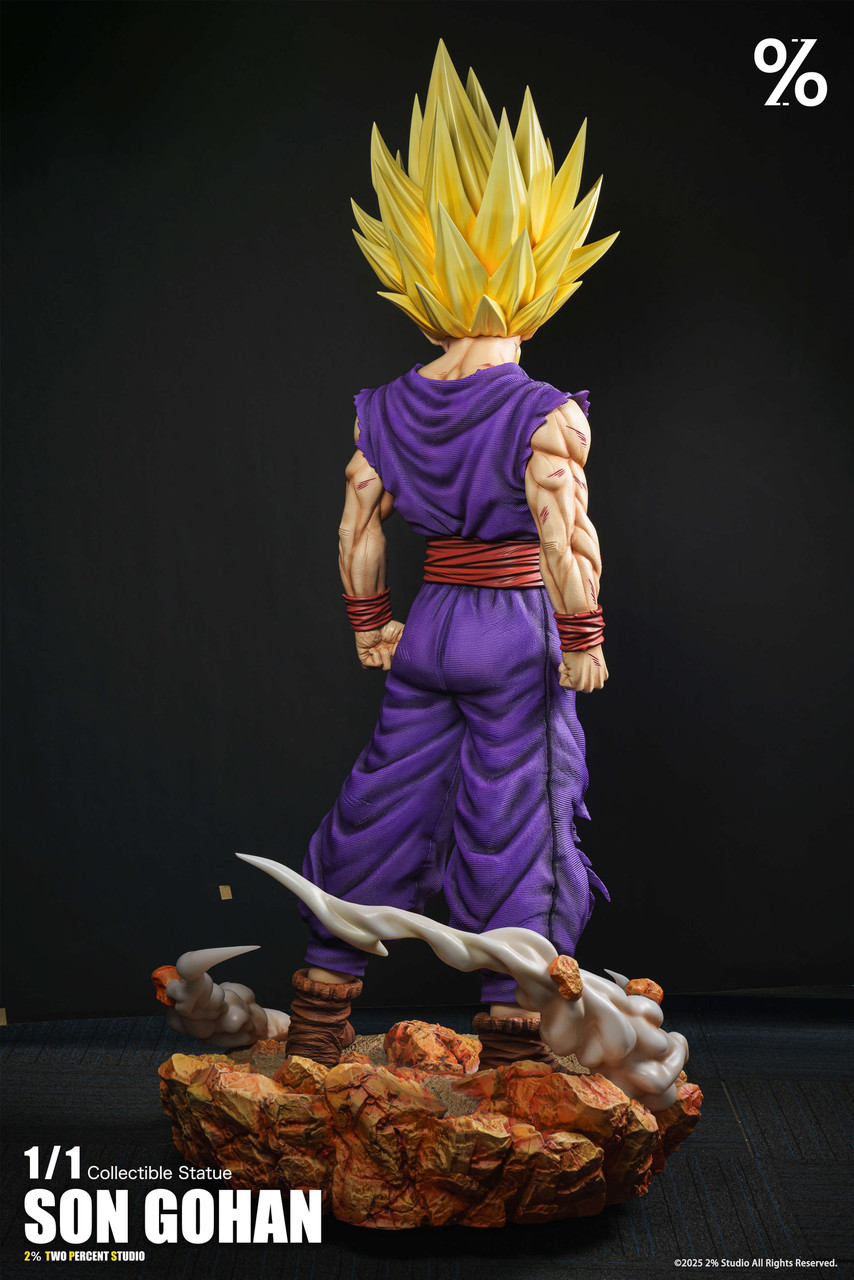 SS2 Son Gohan - Dragon Ball 1/1