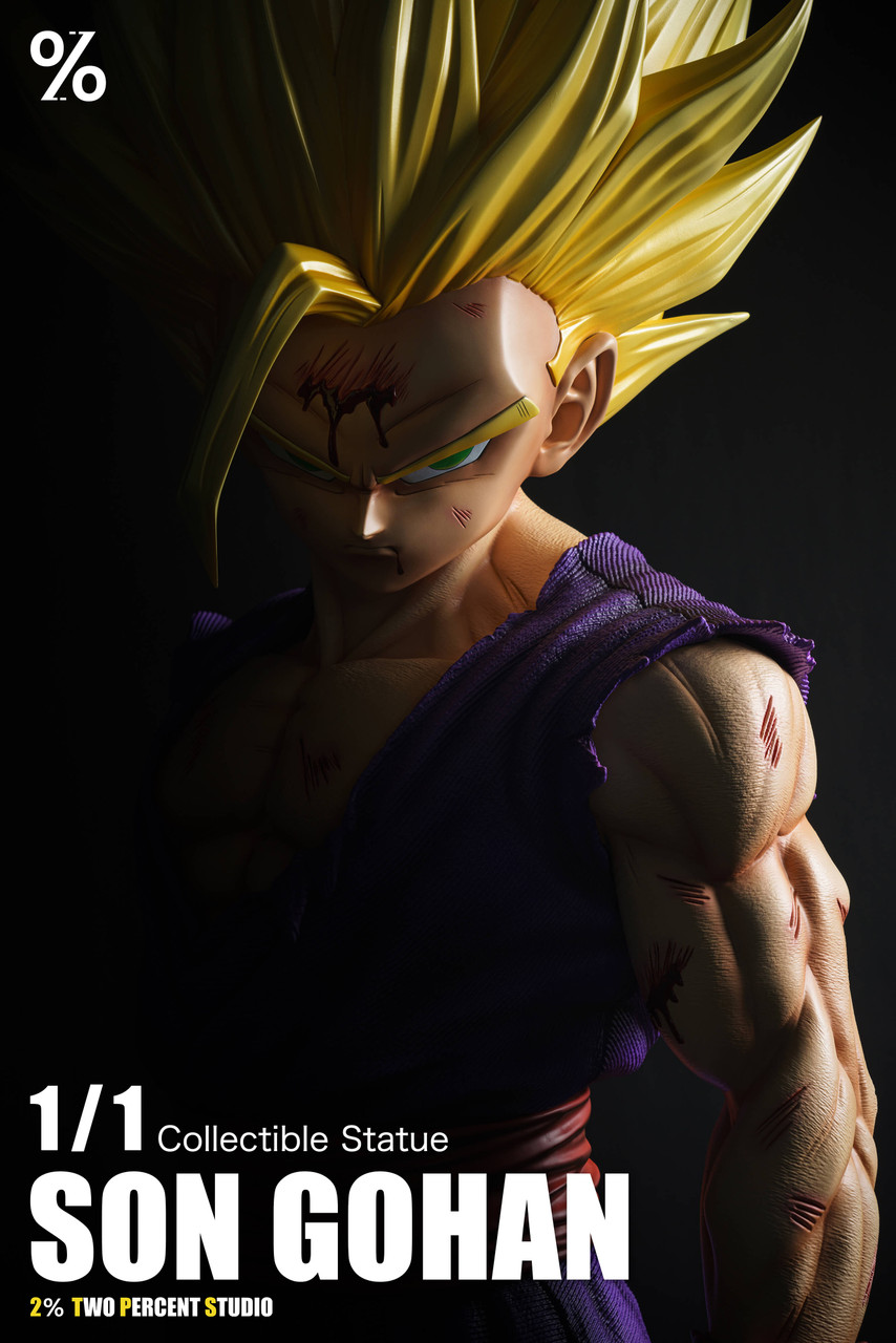 SS2 Son Gohan - Dragon Ball 1/1