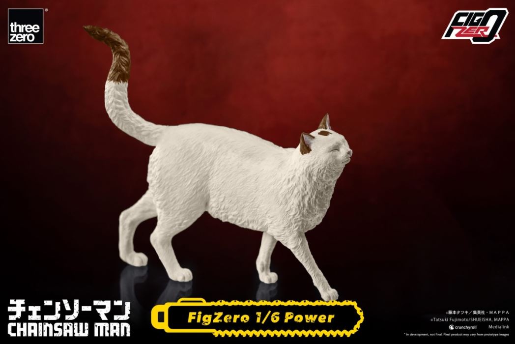 FigZero Power 1/6