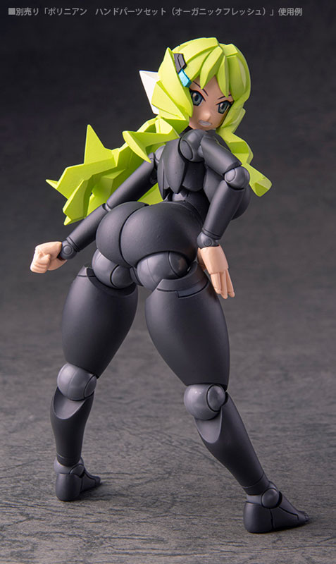 Polynian FLL Kelly / Rania (Black Flesh)