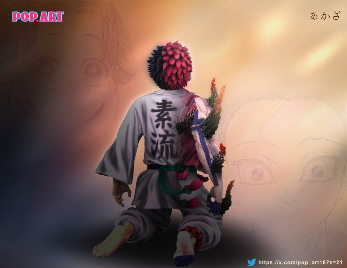 Koyuki Akaza & Koyuki - One Piece