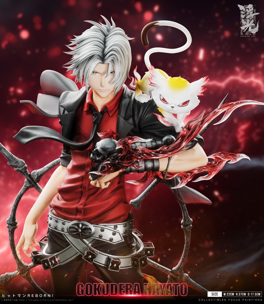 Hayato Gokudera - Katekyo Hitman Reborn