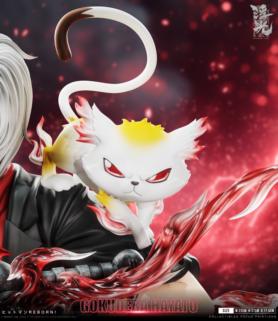 Hayato Gokudera - Katekyo Hitman Reborn