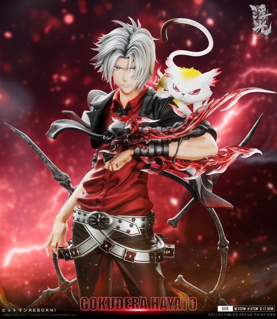 Hayato Gokudera - Katekyo Hitman Reborn