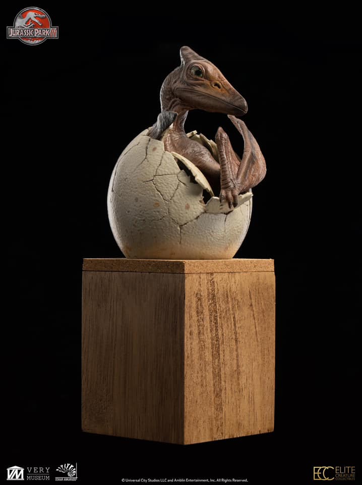 Hatchling Pterosaur - Jurassic Park
