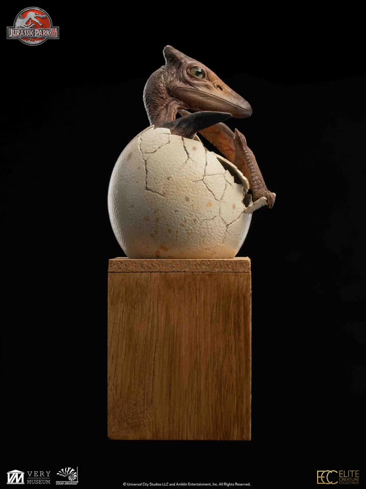 Hatchling Pterosaur - Jurassic Park