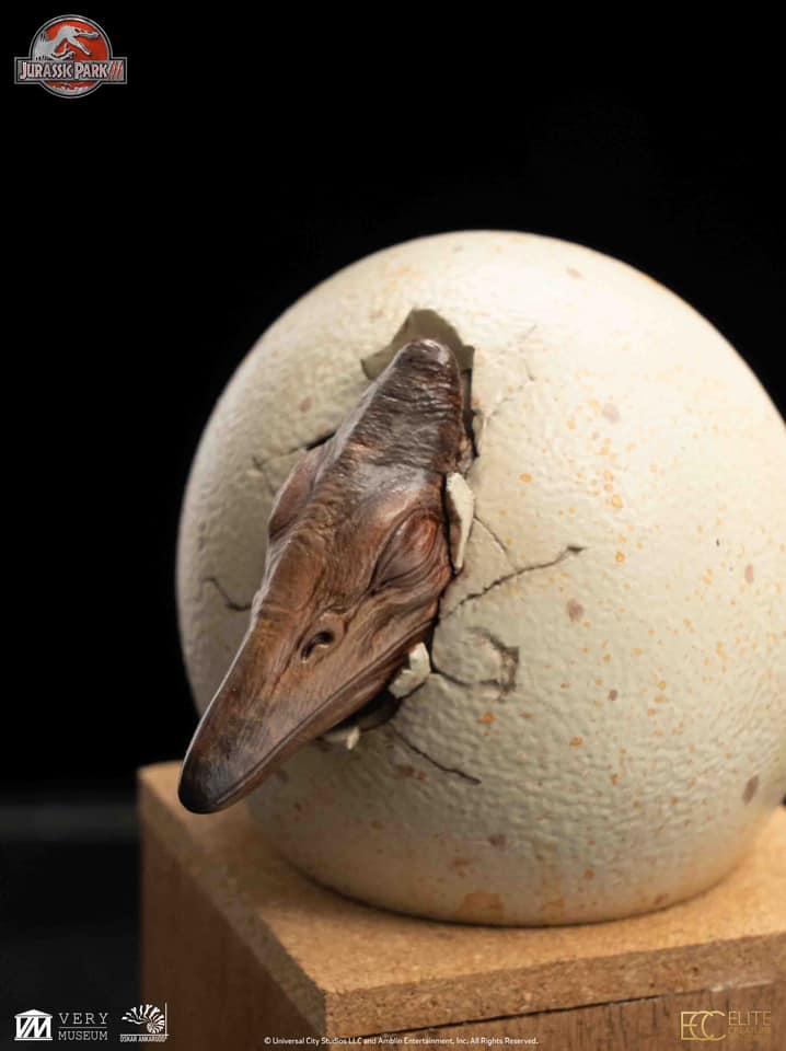 Hatchling Pterosaur - Jurassic Park