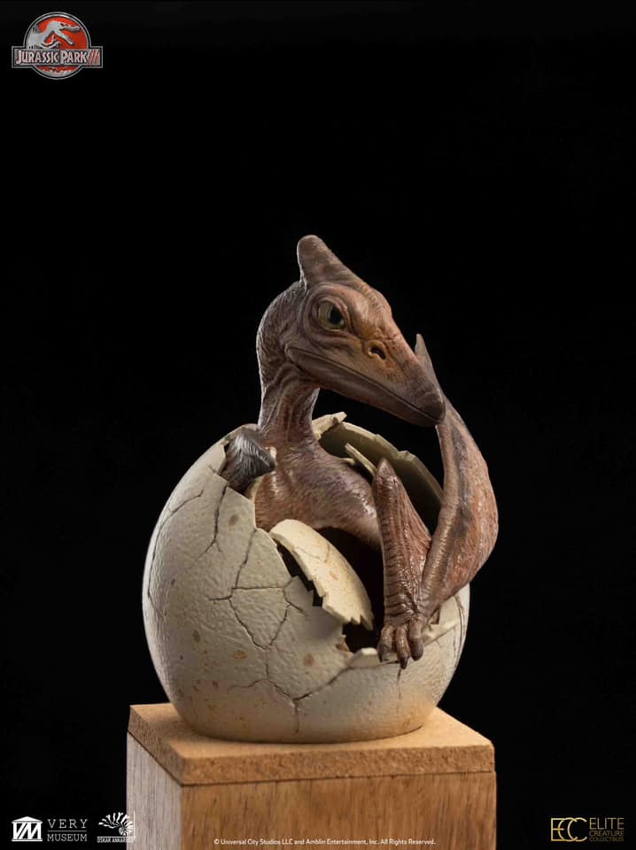 Hatchling Pterosaur - Jurassic Park