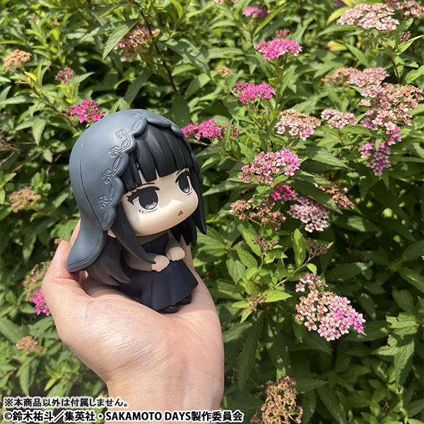 LookUp SAKAMOTO DAYS ~ Shishiba & Osaragi