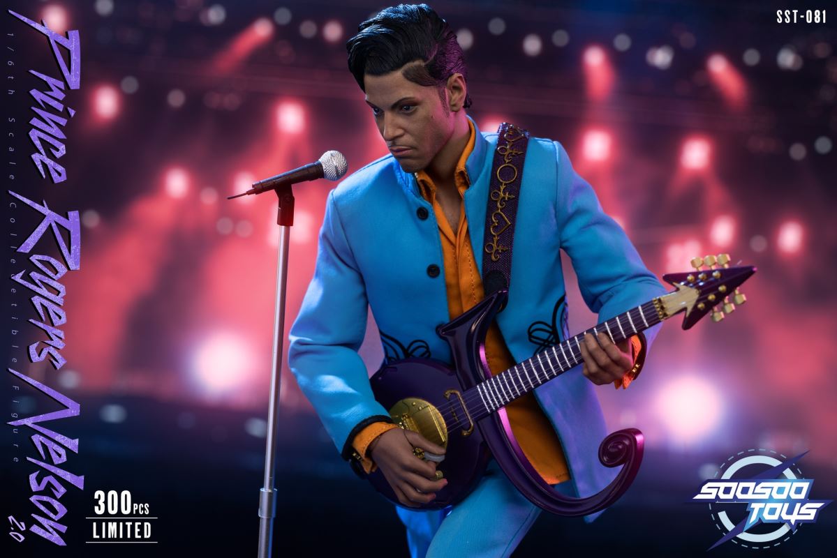 Prince Rogers Nelson 1/6