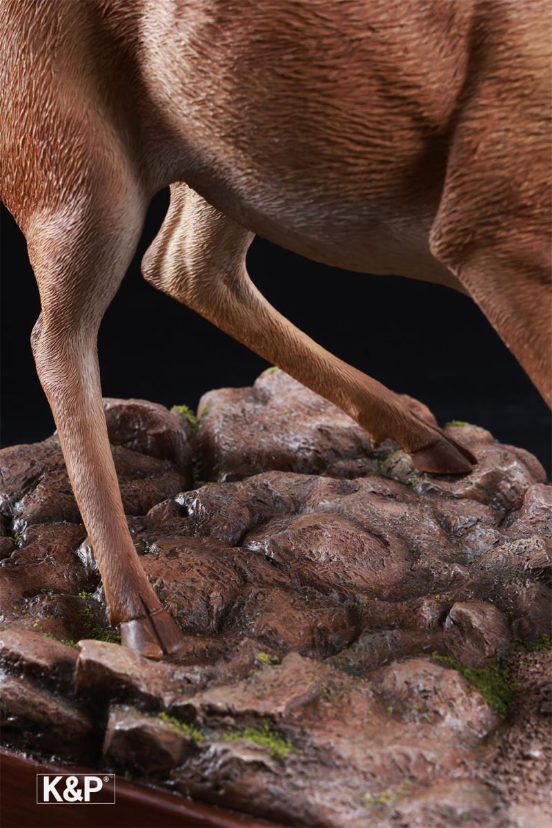 Deer & Crocodile Animal Trendy - the line between life and death