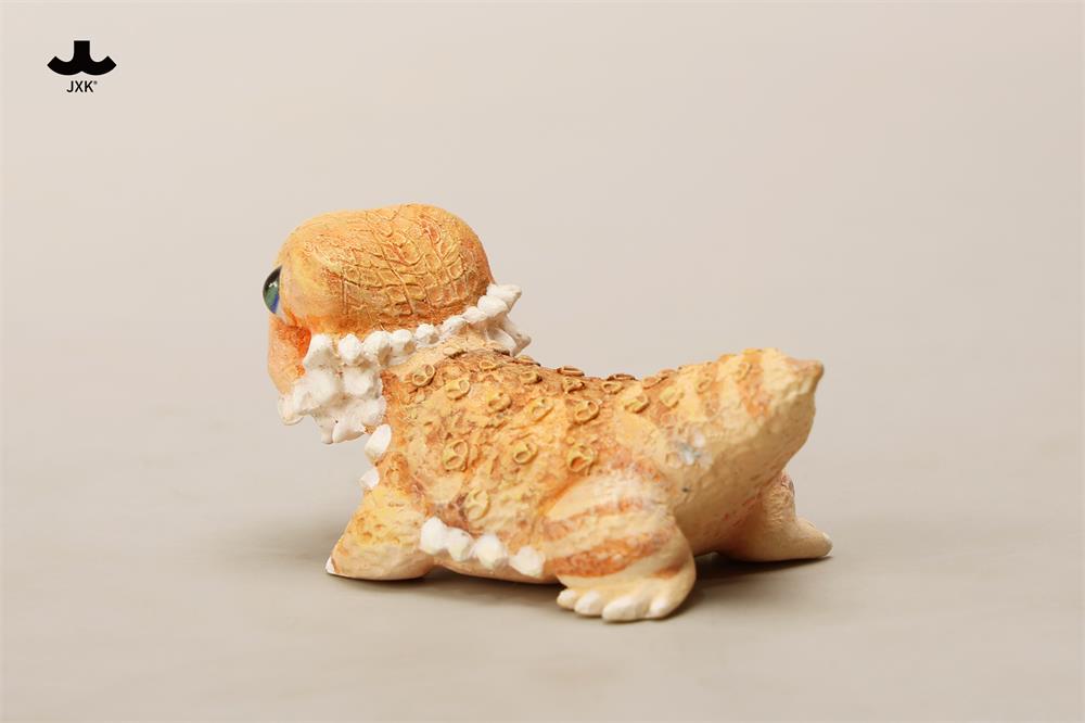 Pogona vitticeps (Roshia Ilumi Forest)