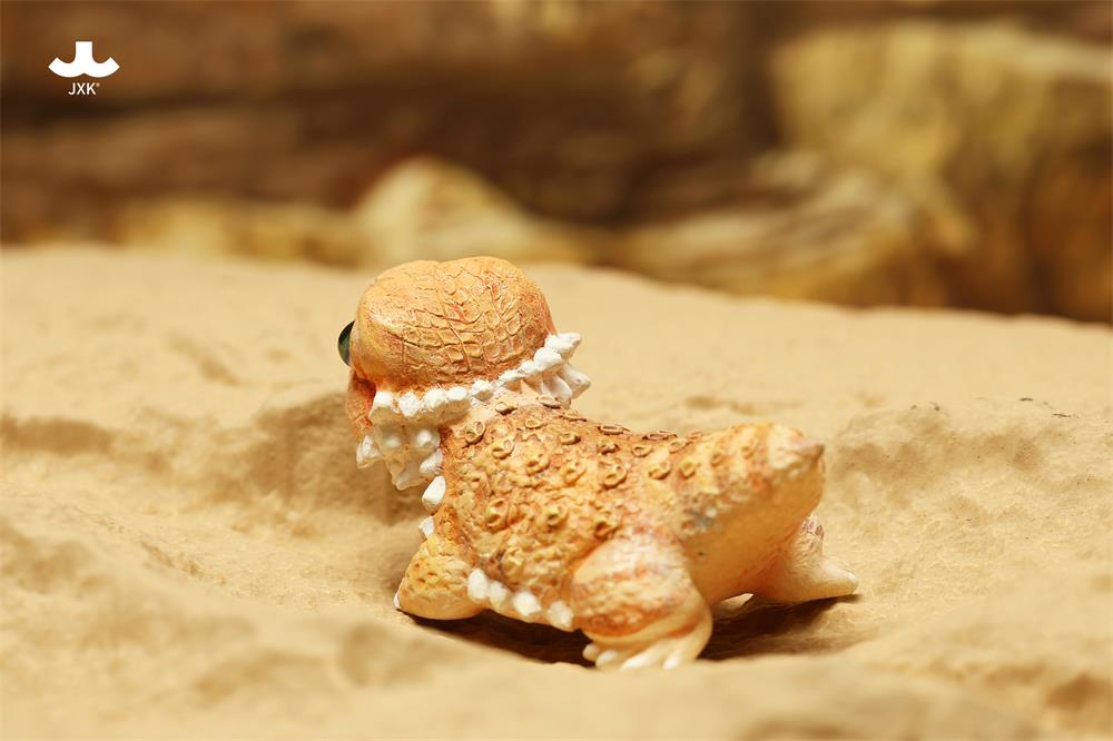 Pogona vitticeps (Roshia Ilumi Forest)