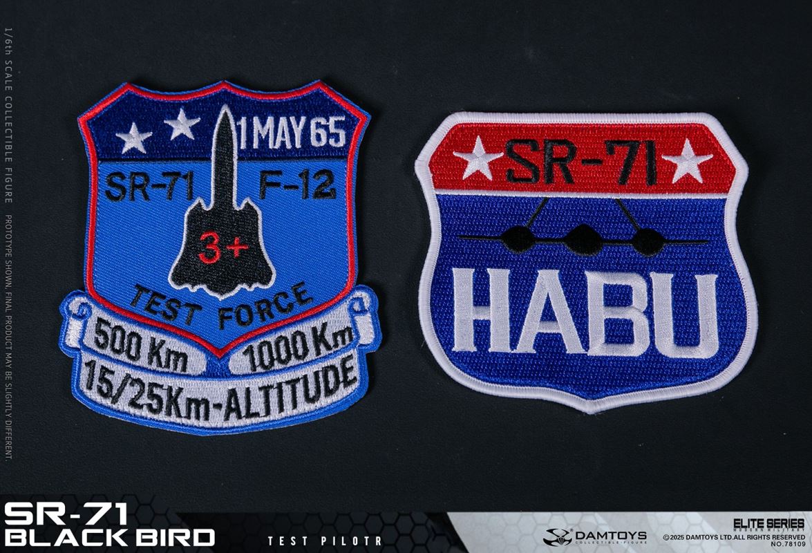 Blackbird Test Pilot NO.78109 [SR-71] 1/6