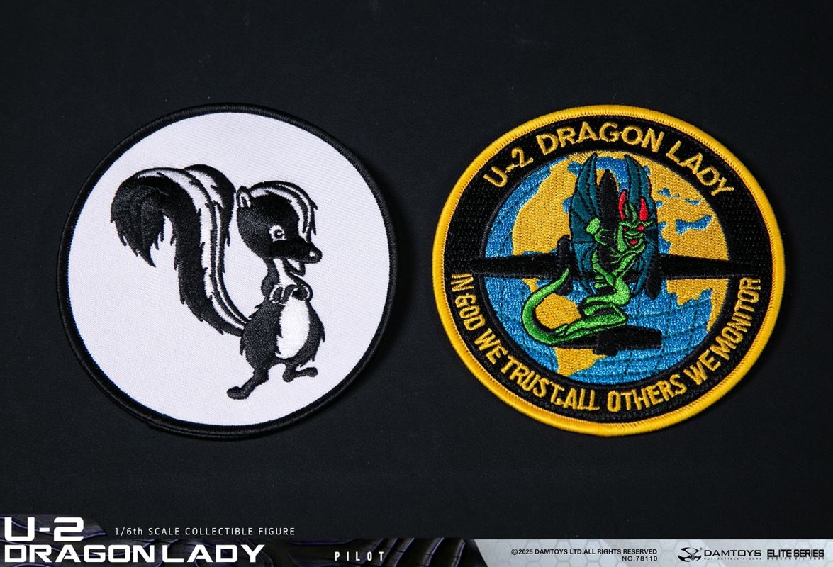 U-2 Dragon Lady Reconnaissance Aircraft Pilot NO.78110 1/6