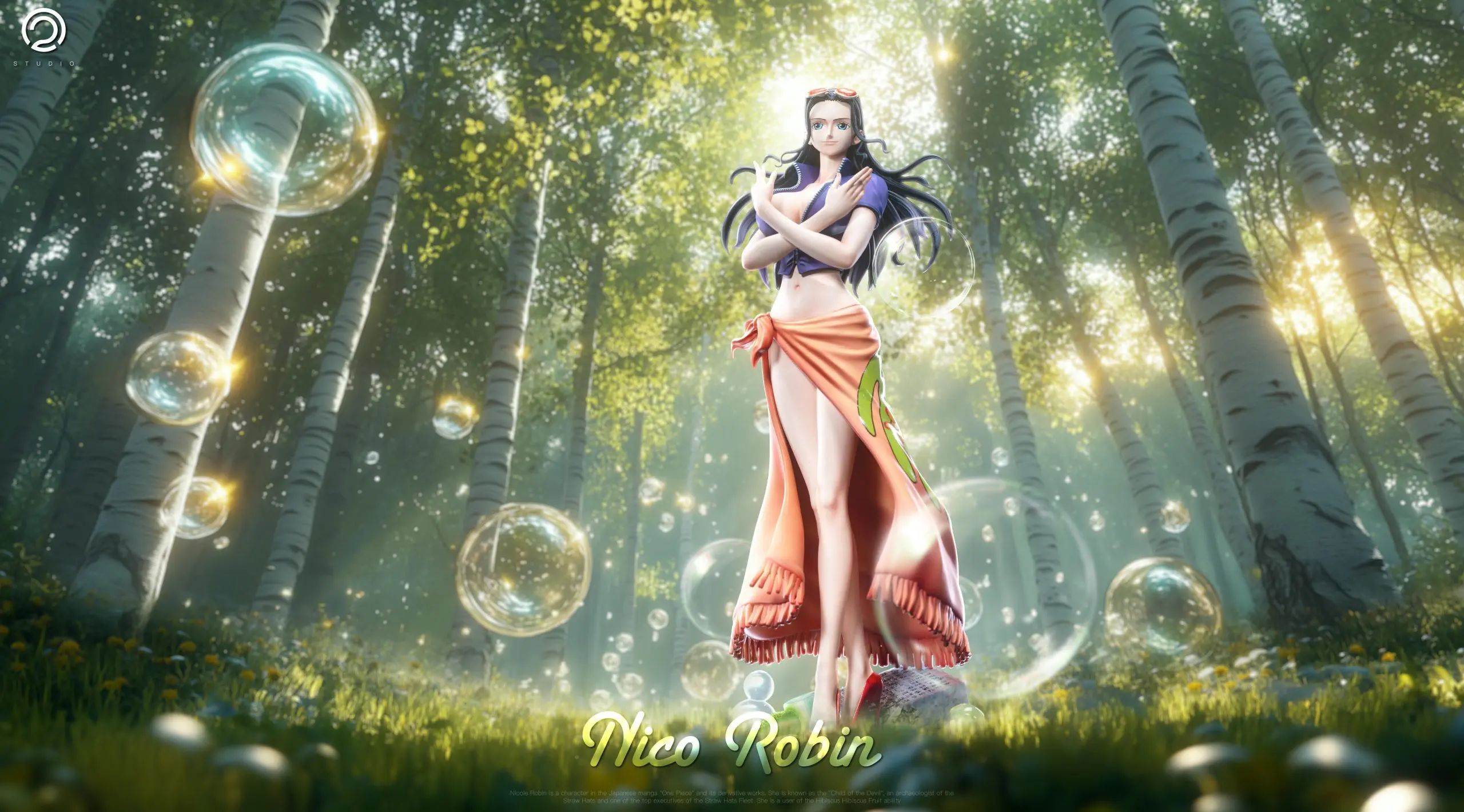 Nico Robin Two Years Later - One Piece