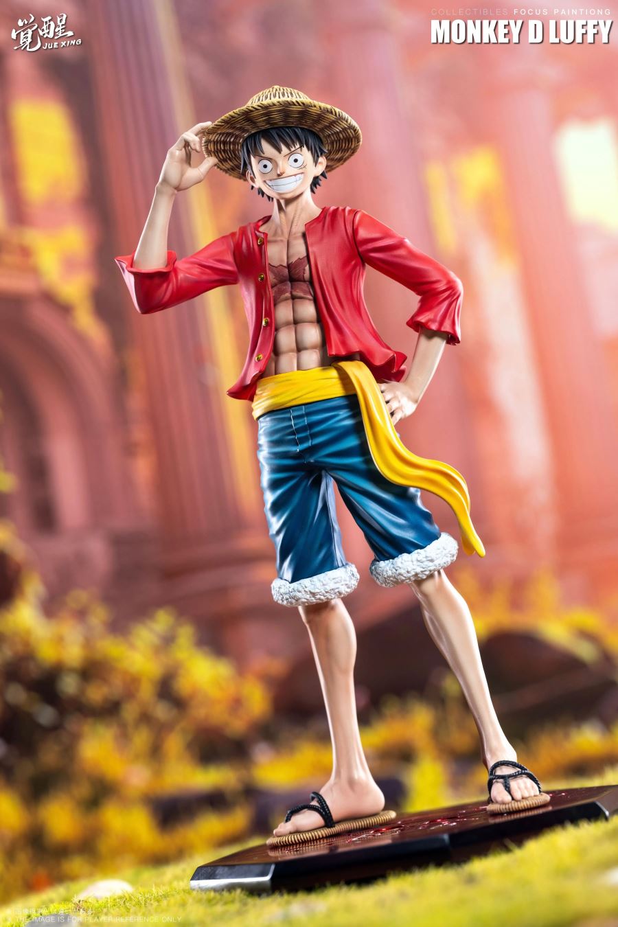 Flag Carrying Luffy - One Piece
