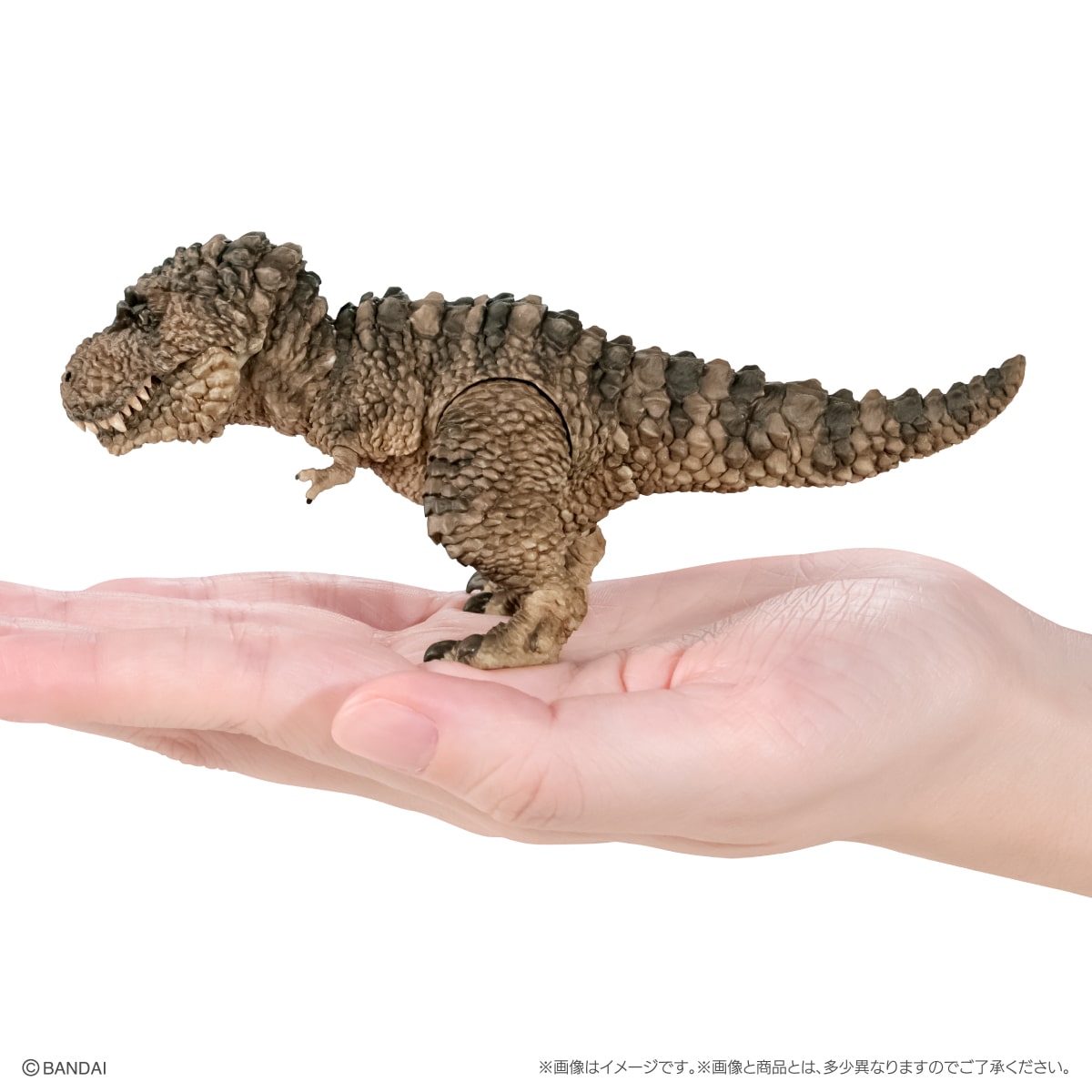 The Great Encyclopedia of Living Things: Reptilians