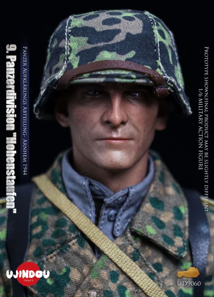 Panzerdivision Hohenstaufen, Panzer Reconnaissance Battalion, Arnhem 1944, WWII 1/6
