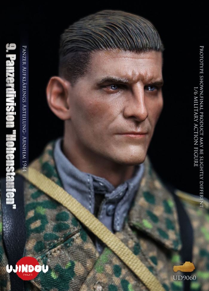 Panzerdivision Hohenstaufen, Panzer Reconnaissance Battalion, Arnhem 1944, WWII 1/6