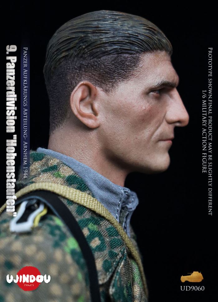 Panzerdivision Hohenstaufen, Panzer Reconnaissance Battalion, Arnhem 1944, WWII 1/6