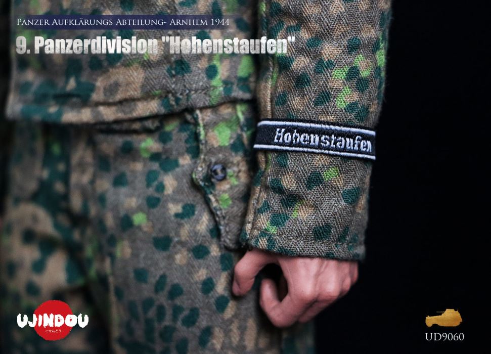 Panzerdivision Hohenstaufen, Panzer Reconnaissance Battalion, Arnhem 1944, WWII 1/6