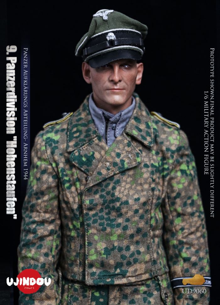 Panzerdivision Hohenstaufen, Panzer Reconnaissance Battalion, Arnhem 1944, WWII 1/6