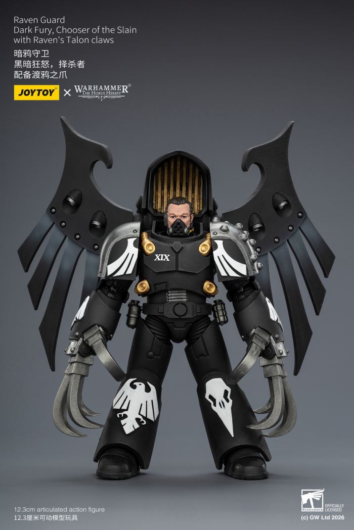 Raven Guard - Dark Fury/Shadow Sergeant/Mordes Member/Tactical Sergeant/Legion Soldier 1/18