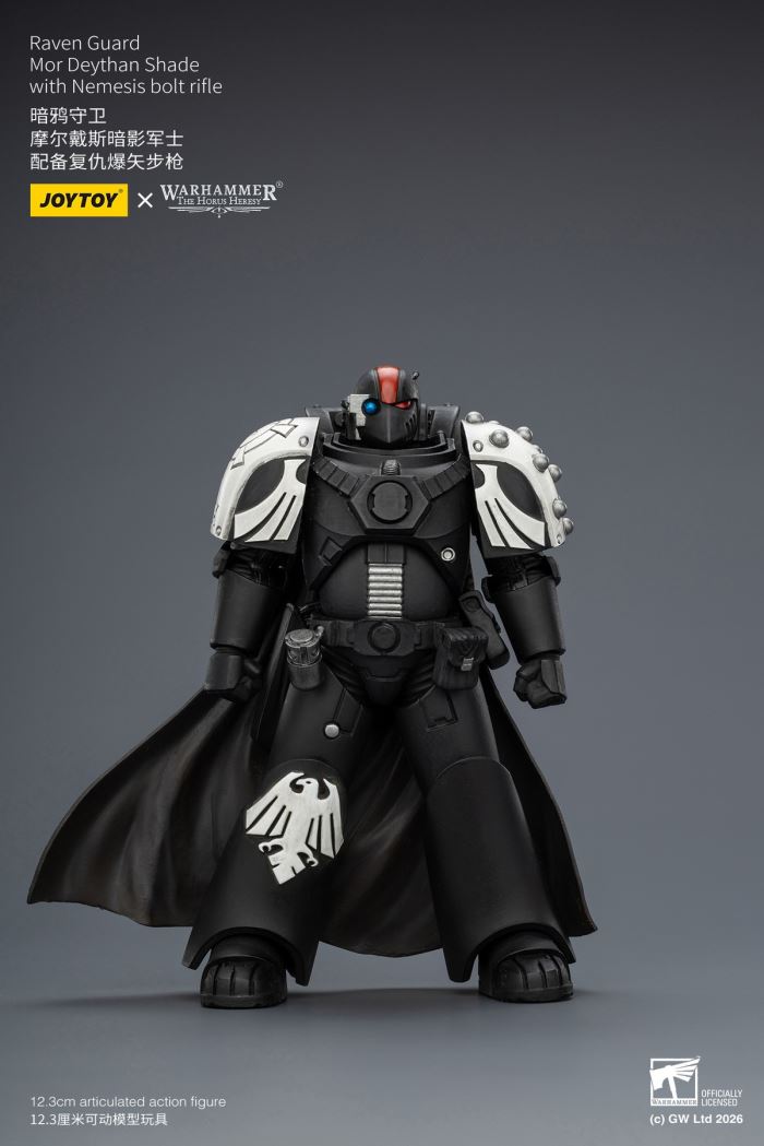 Raven Guard - Dark Fury/Shadow Sergeant/Mordes Member/Tactical Sergeant/Legion Soldier 1/18